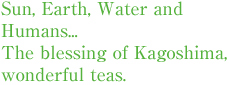 Sun, Earth, Water and Humans... The blessing of Kagoshima, wonderful teas.